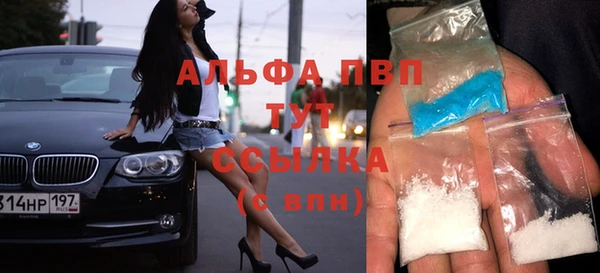 индика Волоколамск