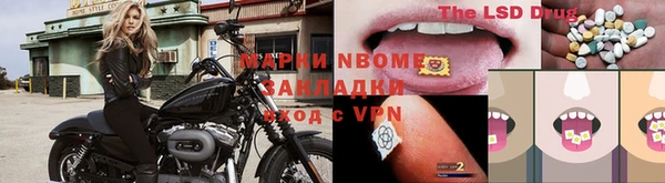 индика Волоколамск