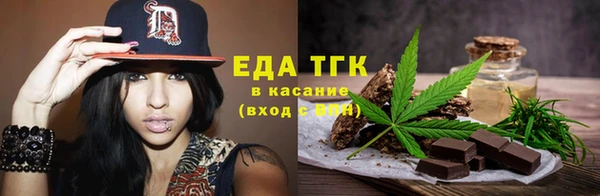 индика Волоколамск