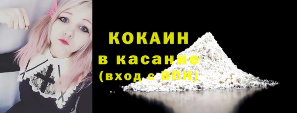индика Волоколамск