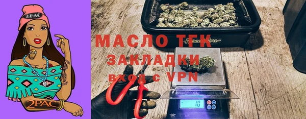 индика Волоколамск