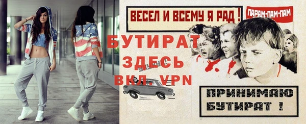 индика Волоколамск