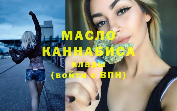индика Волоколамск