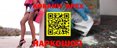 a pvp Бийск