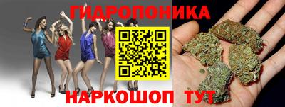 a pvp Бийск