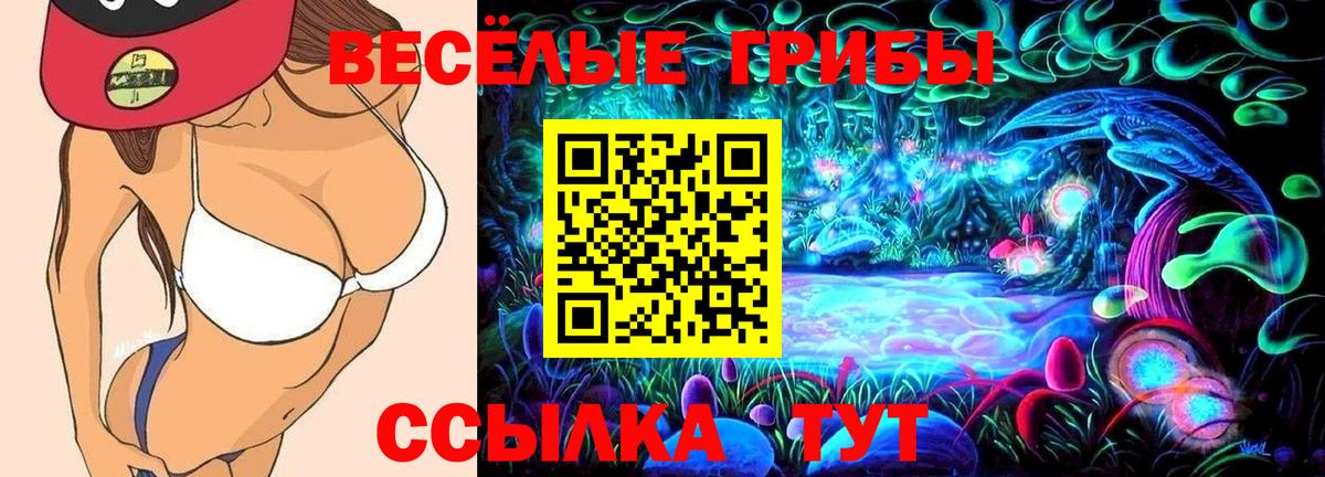 Елец  Галлюциногенные грибы Magic Shrooms  Галлюциногенные грибы мухоморы  Вход с VPN 