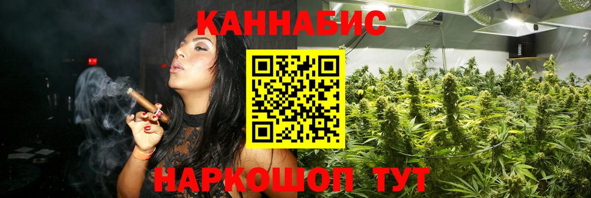 Бошки Шишки план Елец